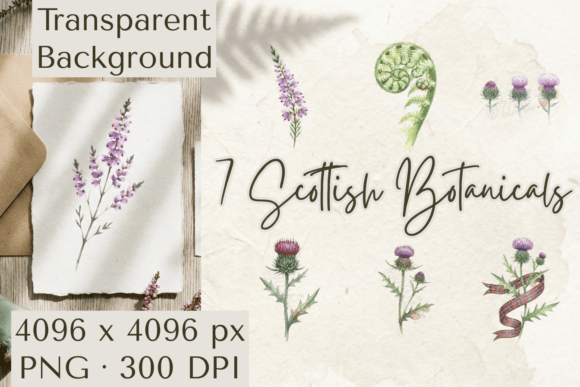 Download Scottish Botanical Clipart PNG Thistle - Clipart png Collection