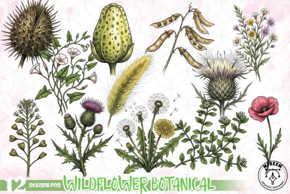 Download Wildflower Botanical Clipart PNG - Clipart png Collection